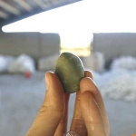 سنگ قلوه سبز
