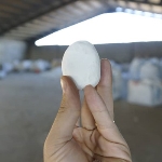 سنگ قلوه سفید