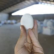 سنگ قلوه سفید